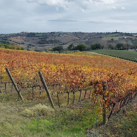 Agriturismo Al Rifugio Divino Belvedere Ostrense Luaran gambar