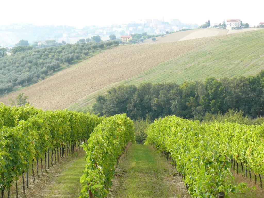 Agriturismo Al Rifugio Divino Belvedere Ostrense Luaran gambar
